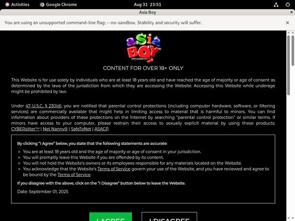 Asia Boy Websites