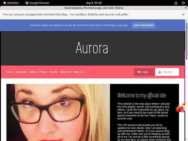 Aurorajaymes.modelcentro.com Discount Access