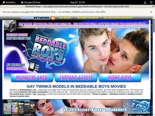 Beddable Boys Bondage