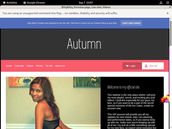 [Image: BittyKitty.jpg]