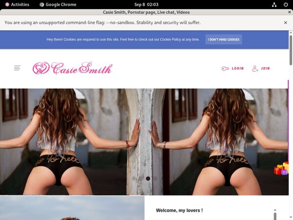Casiesmith.modelcentro.com Discount Accounts