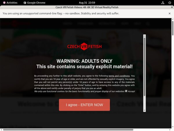Com Czechvrfetish Premium Account