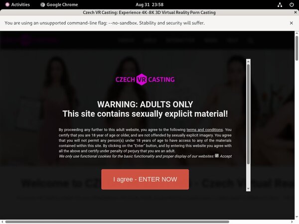 Czech VR Casting Girls