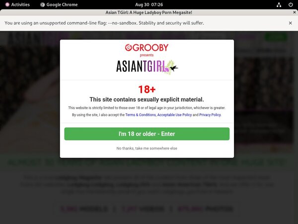 Discount Pass Ladyboy-ladyboy.com