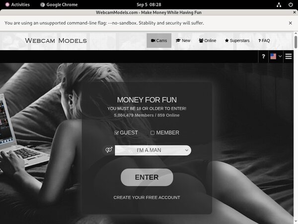 Download Webcam Models