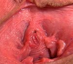 Gapemypussy Mature