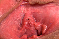 Gapemypussy Mature s0