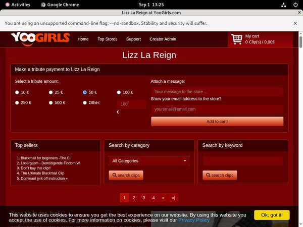 Get Into LizzLaReign