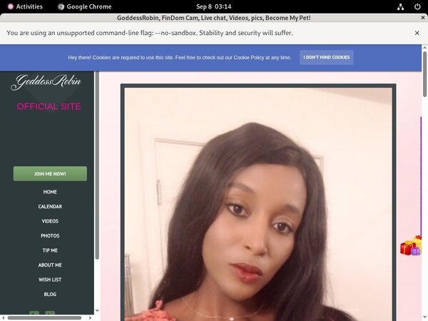 Goddessrobin.modelcentro.net Discount Code