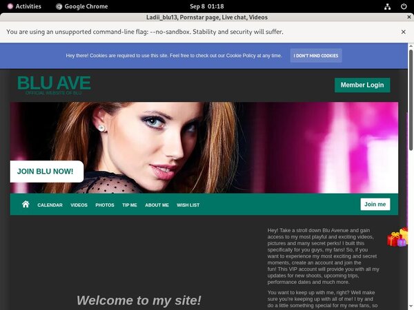 Ladiiblu13.modelcentro.com Account Premium