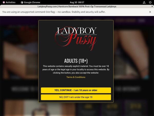 [Image: Ladyboy-Pussy-Log-In.jpg]