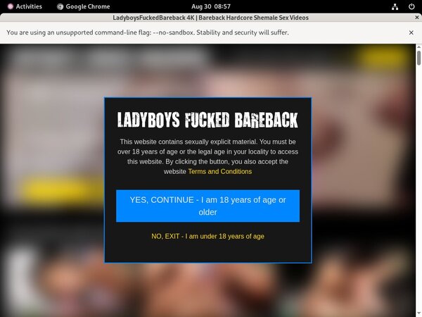 Ladyboysfuckedbareback Checkout Form