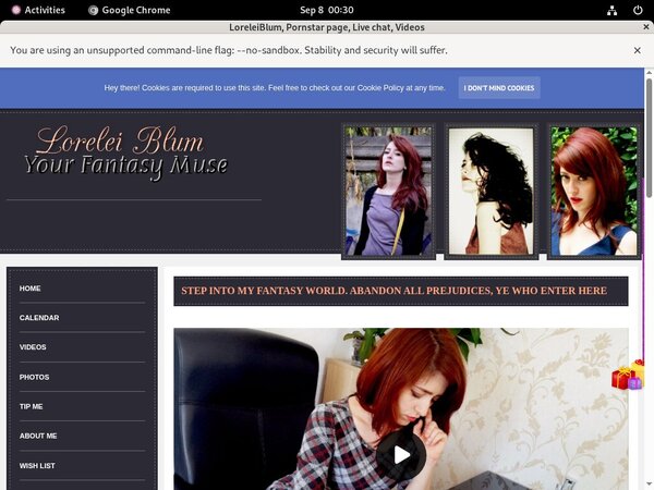 LoreleiBlum Vendo Page