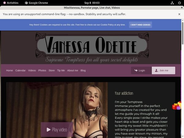 Missvanessa.modelcentro.com Network Login