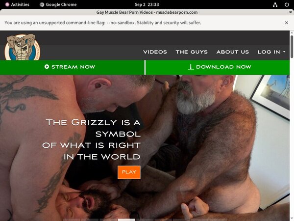 Muscle Bear Porn Gallaries