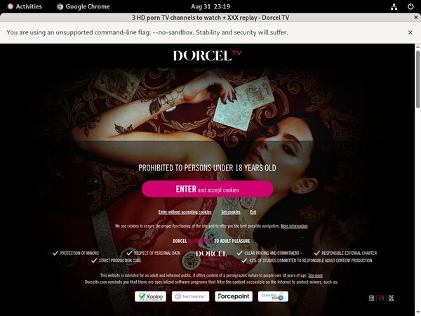 Premium Dorcel Tv Accounts