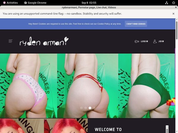 Rydenarmani.com Vendo