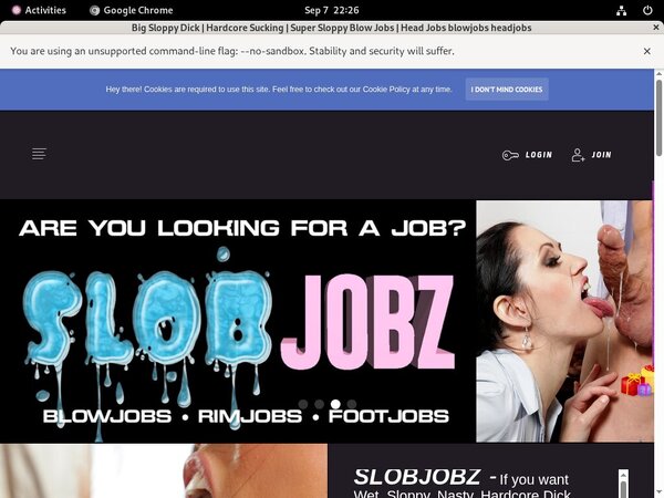 Slobjobz.com Webcam