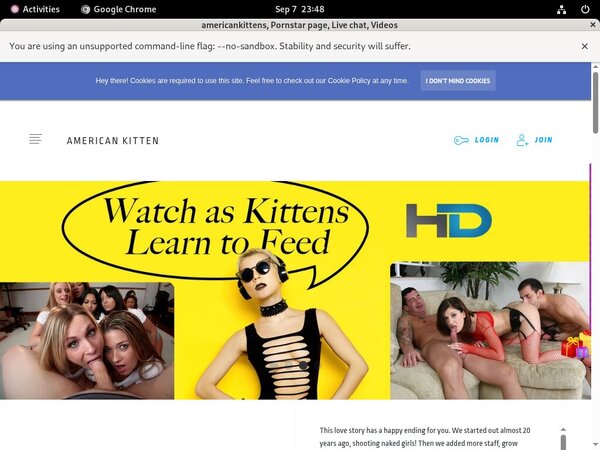 Special Americankitten.com Discount
