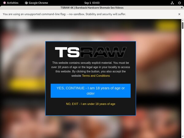 TS Raw Passworter