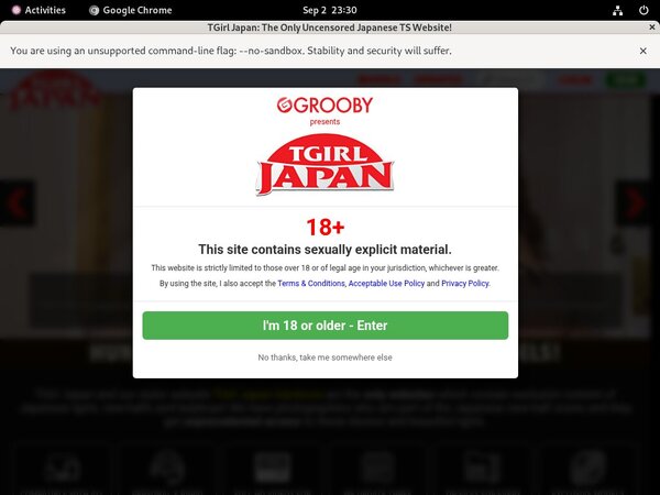 Tgirljapan.com ???
