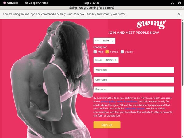 Trial Membership Swing.net Free