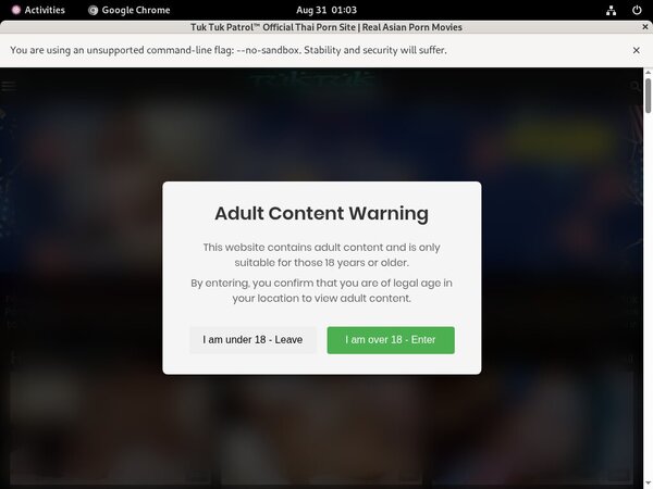 Tuk Tuk Patrol Premium Account