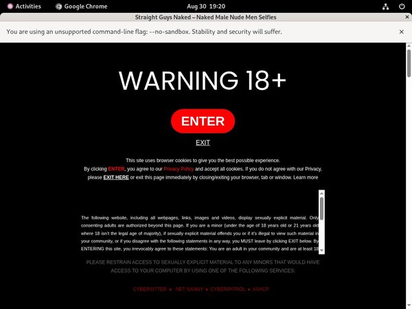Watchdudes Premium Password