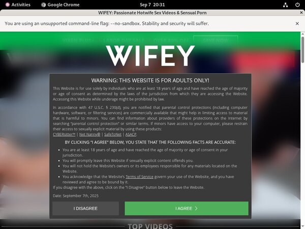 Wifey Blog