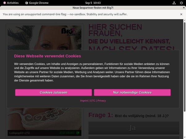 YourSecretDream Paysite